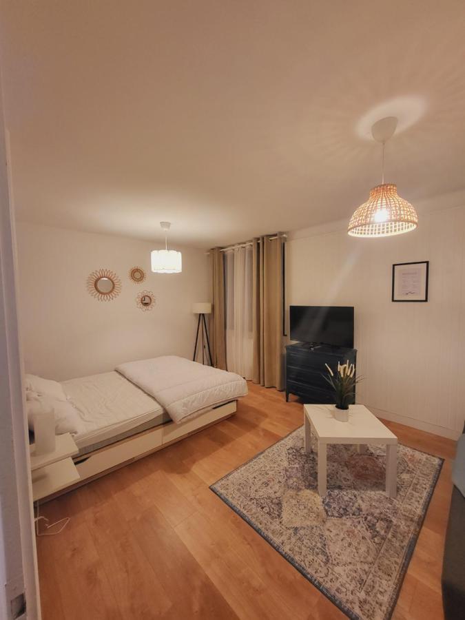 Appartement T1 Bis 35M2 Annecy Proche Centre Ville Экстерьер фото